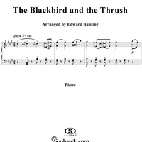 The Blackbird and the Thrush