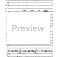 Violin Concerto in E Minor, Movement 3 - Full Score