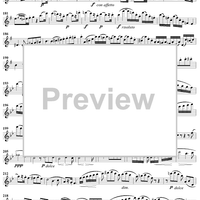 Grand Duo in B-Flat Major, Op. 39, No. 2 - Flute 1