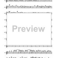 Double Concerto for Recorder and Flute in E minor - Flauto Dolce (Recorder)