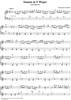Sonata in F major, K. 167