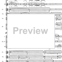 Five Lyrics of "Blue cat" - Score