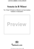 Sonata No. 2 in B Minor - Viola da gamba