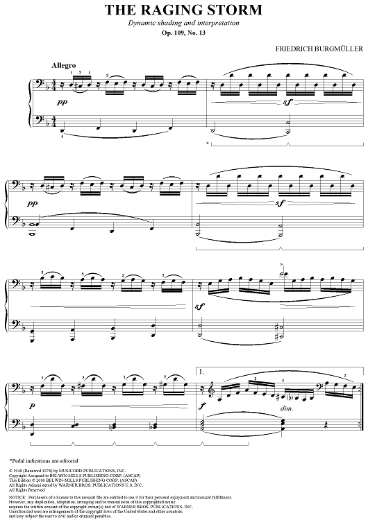 The Raging Storm, Op. 109, No. 13
