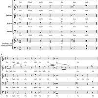 You Black Bright Stars