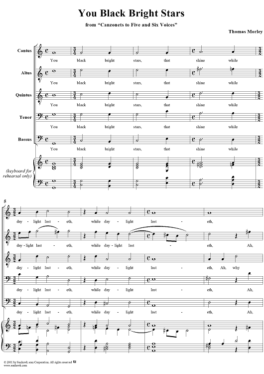 You Black Bright Stars