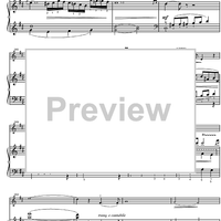 Sonata in D minor - Score