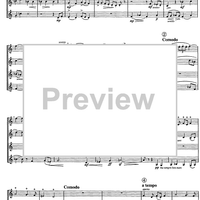 Divertimento preistorico - Score