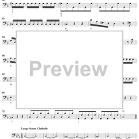 Flute Concerto in G Minor ("La Notte")  - Op. 10, No. 2 - RV 439 - Cello