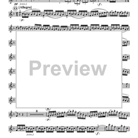 Concerto per Cornetto Op. 198, Partitura N. 184 - Cornet