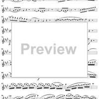 Grand Quatuor Concertante, Op. 53, No. 2 - Flute 1