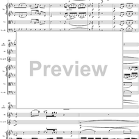 Flute Concerto No. 1 in G Major K285c (K313) - Full Score