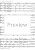 String Quartet No. 18, Movement 1 - Score