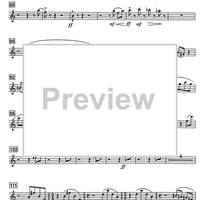 Shoshanna - B-flat Soprano Saxophone