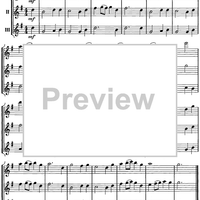 Theme (from Symphony No. 1) - Flute / Piccolo