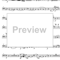 String Quintet G Major - Cello