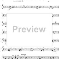 Argentinian Rhapsody - Timpani