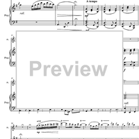 Argentinian Rhapsody - Score