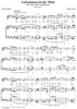 Six Lieder, op. 34, no. 6: He Comes With Vernal Flowers  (Gekommen ist der Maie)