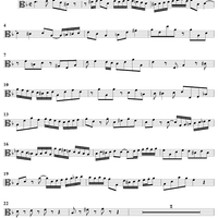 Double Violin Concerto - Viola