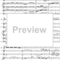 Flute Concerto No. 1 in G Major K285c (K313) - Full Score