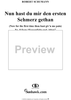 Frauenliebe und -leben (Song Cycle), Op. 42, No. 8 - Nun hast du mir den ersten Schmerz gethan - No. 8 from "Frauenliebe und -leben" op. 42