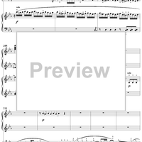 Double Piano Concerto No. 10 in E-flat Major, K316a (K365), Movement 1