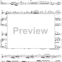 Flute Concerto in G Major - Piano