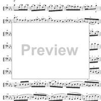 Suite No. 5 c minor BWV 1011 - Cello