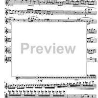 Divertimento Op.69 - Flute