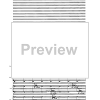 Birds In Light - Full Score