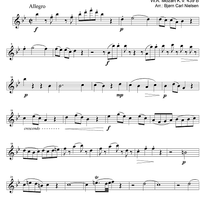 Divertimento No. 3 Bb Major KV439b - Flute