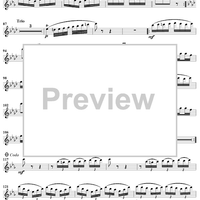 The Two Little Bullfinches - Piccolo 1