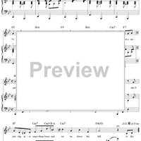 A Bar on the Piccolo Marina