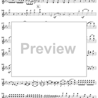 Symphony No. 3 in E-flat Major, "Rhenish" - Violin