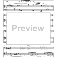 The Police Agent's Aria