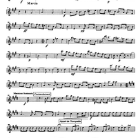 Battaglia di Maringo - Flute