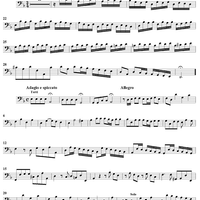 Concerto in D Minor - Cello
