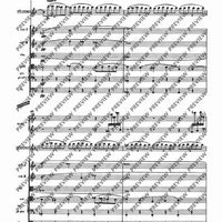 Il Vitalino raddoppiato - Full Score