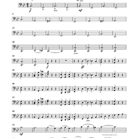 Sleeping Beauty Waltz - Cello