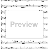 Sonata in D Major - Flute