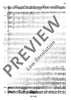 Horn Concerto No. 2 Eb major in E flat major - Full Score