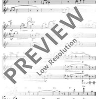 Flute Fun - Performing Score