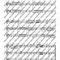 Zwölf Cassationsstücke - Performing Score