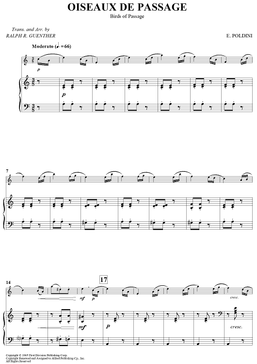 Oiseaux De Passage (Birds of Passage)