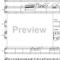 Argentinian Rhapsody - Score