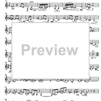 Jubilee Concerto for Celeia - Violin 2