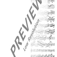 Der Fortschritt im Flötenspiel