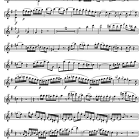 Concerto No. 3 G Major, KV216 - Violin