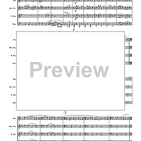 Turkey in the Straw - Score